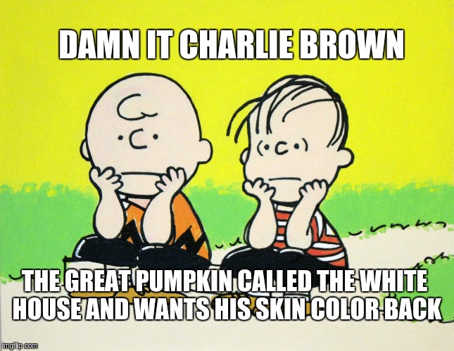 Great Pumpkin Damnit | DAMN IT CHARLIE BROWN; THE GREAT PUMPKIN CALLED THE WHITE HOUSE AND WANTS HIS SKIN COLOR BACK | image tagged in charlie brown | made w/ Imgflip meme maker