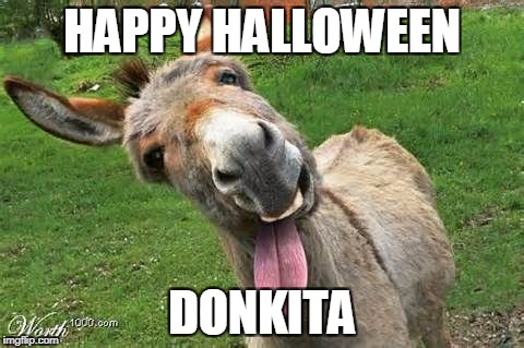 Laughing Donkey | HAPPY HALLOWEEN; DONKITA | image tagged in laughing donkey | made w/ Imgflip meme maker