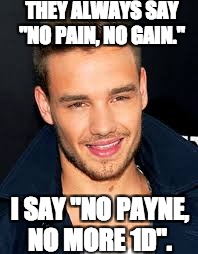 THEY ALWAYS SAY "NO PAIN, NO GAIN."; I SAY "NO PAYNE, NO MORE 1D". | image tagged in one direction | made w/ Imgflip meme maker