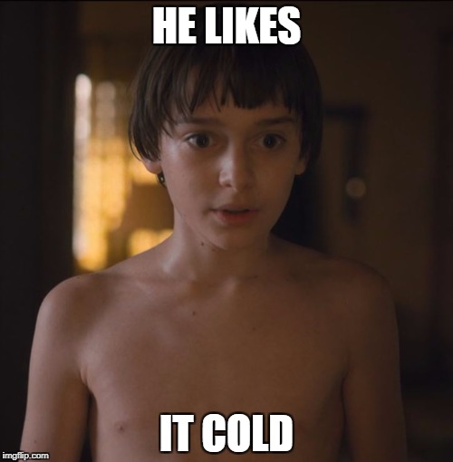 HE LIKES; IT COLD | image tagged in willthewise,he likes it cold,stranger things | made w/ Imgflip meme maker