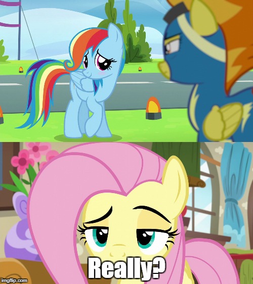Really? | image tagged in fluttershy,rainbow dash,mlp,mlp meme | made w/ Imgflip meme maker
