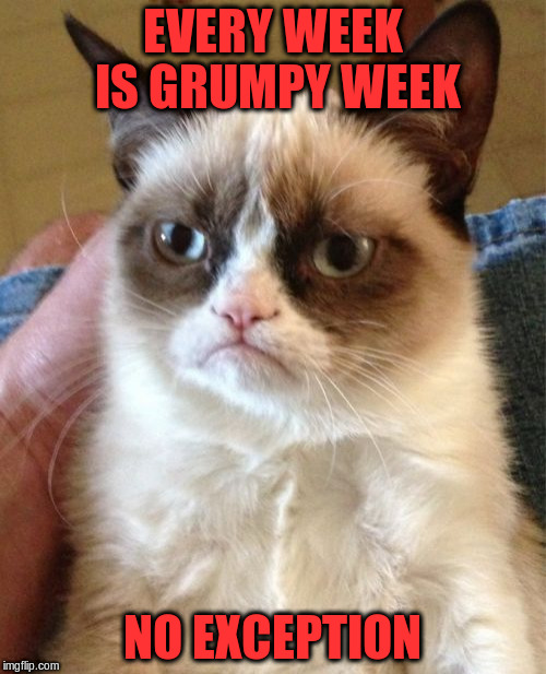 Grumpy Cat Meme | EVERY WEEK IS GRUMPY WEEK NO EXCEPTION | image tagged in memes,grumpy cat | made w/ Imgflip meme maker