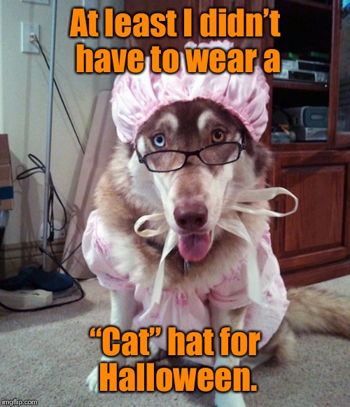 At least I didn’t have to wear a “Cat” hat for Halloween. | made w/ Imgflip meme maker