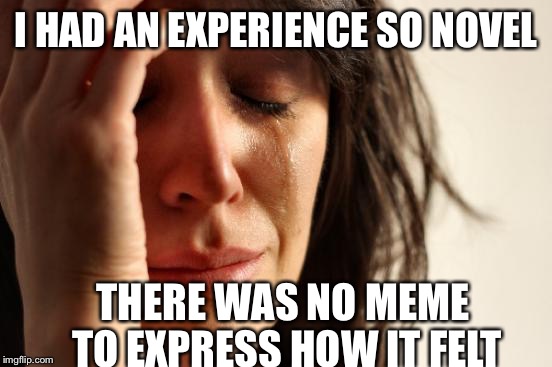 First World Problems Meme | I HAD AN EXPERIENCE SO NOVEL; THERE WAS NO MEME TO EXPRESS HOW IT FELT | image tagged in memes,first world problems | made w/ Imgflip meme maker