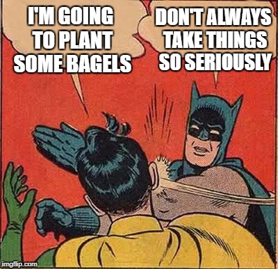 Batman Slapping Robin Meme | I'M GOING TO PLANT SOME BAGELS DON'T ALWAYS TAKE THINGS SO SERIOUSLY | image tagged in memes,batman slapping robin | made w/ Imgflip meme maker