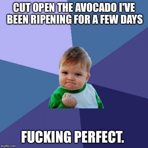 Success Kid Meme | CUT OPEN THE AVOCADO I'VE BEEN RIPENING FOR A FEW DAYS; FUCKING PERFECT. | image tagged in memes,success kid | made w/ Imgflip meme maker