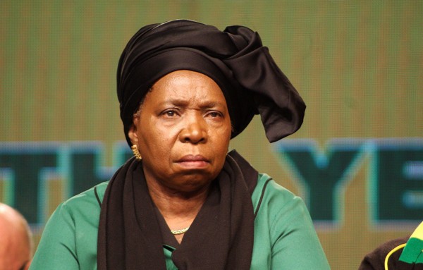 High Quality Dlamini Zuma Blank Meme Template