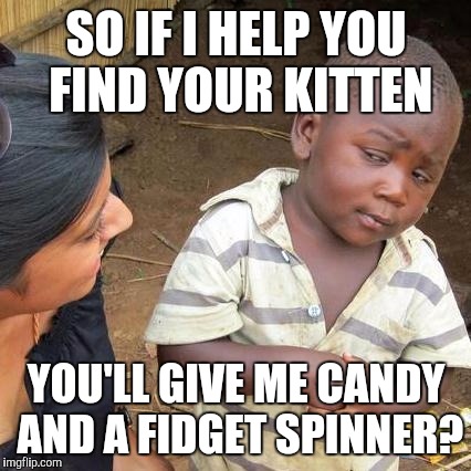 Third World Skeptical Kid Meme | SO IF I HELP YOU FIND YOUR KITTEN YOU'LL GIVE ME CANDY AND A FIDGET SPINNER? | image tagged in memes,third world skeptical kid | made w/ Imgflip meme maker