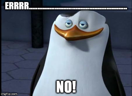 ERRRR......................................................... NO! | image tagged in really penguin | made w/ Imgflip meme maker