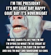 The president of the goat called Donald goat | I’M THE PRESIDENT IT’S MY GOAT DAY HAPPY GOAT DAY IT’S NOVEMGOAT; NO ONE CARES I’LL ATE YOU I’M FAT I’M DYING SO WHAT I’M SO SMART AT ALL NOT REALLY I’M FLUFF I’M SO TINY AND BIG I’M UGLY AND HANDSOME SO COOL | image tagged in goat | made w/ Imgflip meme maker