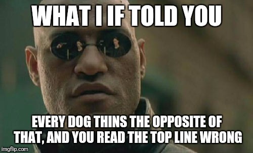 Matrix Morpheus Meme | WHAT I IF TOLD YOU EVERY DOG THINS THE OPPOSITE OF THAT, AND YOU READ THE TOP LINE WRONG | image tagged in memes,matrix morpheus | made w/ Imgflip meme maker