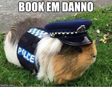 BOOK EM DANNO | made w/ Imgflip meme maker