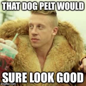 Macklemore Thrift Store | THAT DOG PELT WOULD; SURE LOOK GOOD | image tagged in memes,macklemore thrift store | made w/ Imgflip meme maker