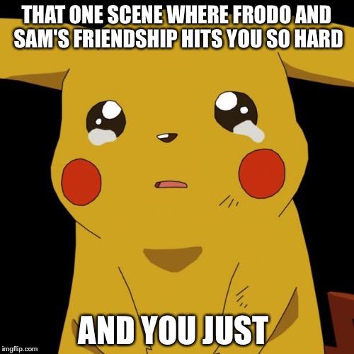 Pikachu crying | THAT ONE SCENE WHERE FRODO AND SAM'S FRIENDSHIP HITS YOU SO HARD; AND YOU JUST | image tagged in pikachu crying | made w/ Imgflip meme maker