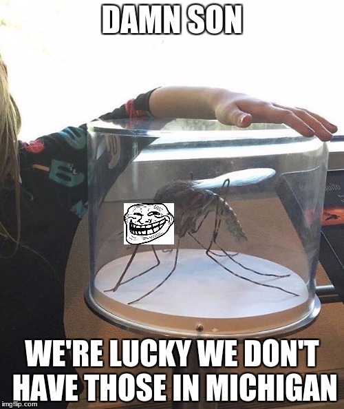 Damn Son | DAMN SON; WE'RE LUCKY WE DON'T HAVE THOSE IN MICHIGAN | image tagged in alaskan mosquito,damn,lucky,michigan | made w/ Imgflip meme maker