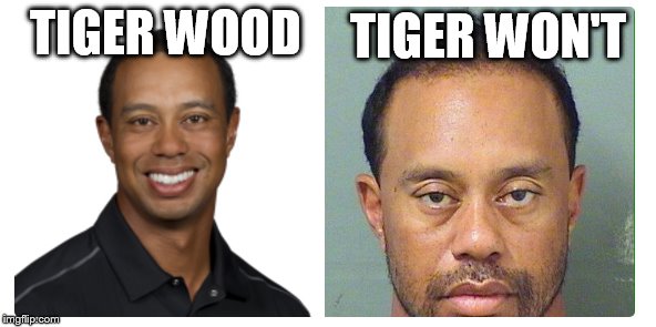 tiger woods stare meme