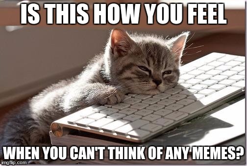 Bored Keyboard Cat | IS THIS HOW YOU FEEL; WHEN YOU CAN'T THINK OF ANY MEMES? | image tagged in bored keyboard cat | made w/ Imgflip meme maker