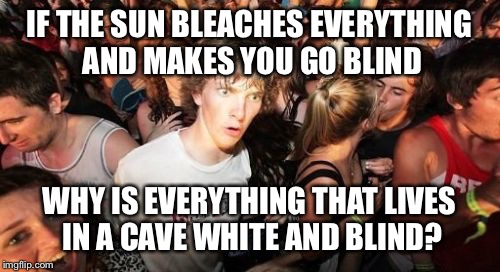 Sudden Clarity Clarence Meme | IF THE SUN BLEACHES EVERYTHING AND MAKES YOU GO BLIND; WHY IS EVERYTHING THAT LIVES IN A CAVE WHITE AND BLIND? | image tagged in memes,sudden clarity clarence | made w/ Imgflip meme maker