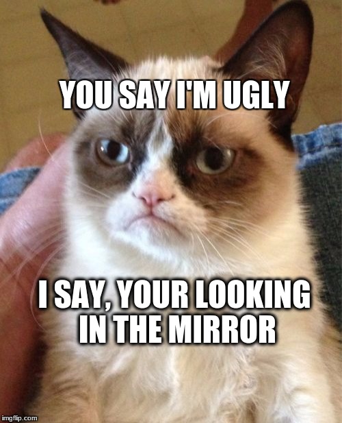 Grumpy Cat Meme | YOU SAY I'M UGLY; I SAY, YOUR LOOKING IN THE MIRROR | image tagged in memes,grumpy cat | made w/ Imgflip meme maker