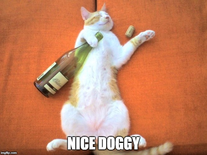 NICE DOGGY | made w/ Imgflip meme maker