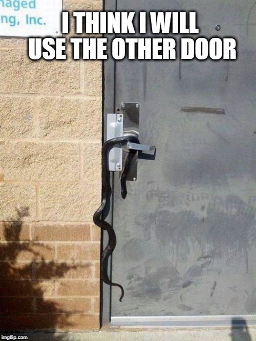 I THINK I WILL USE THE OTHER DOOR | image tagged in i'll use the other door | made w/ Imgflip meme maker