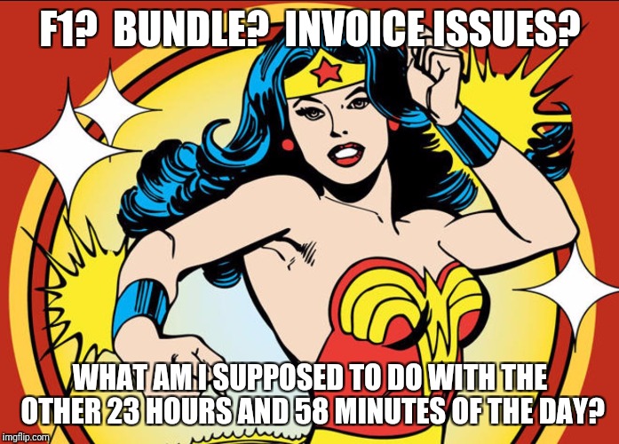 Wonder Woman | F1?  BUNDLE?  INVOICE ISSUES? WHAT AM I SUPPOSED TO DO WITH THE OTHER 23 HOURS AND 58 MINUTES OF THE DAY? | image tagged in wonder woman | made w/ Imgflip meme maker