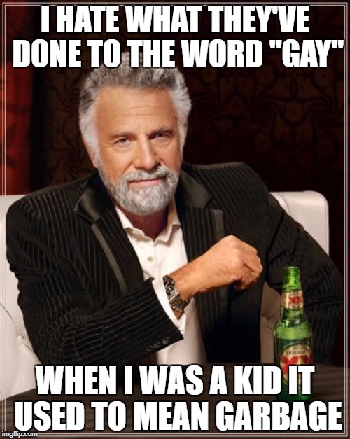 Gay Garbage | I HATE WHAT THEY'VE DONE TO THE WORD "GAY"; WHEN I WAS A KID IT USED TO MEAN GARBAGE | image tagged in memes,the most interesting man in the world,gay | made w/ Imgflip meme maker