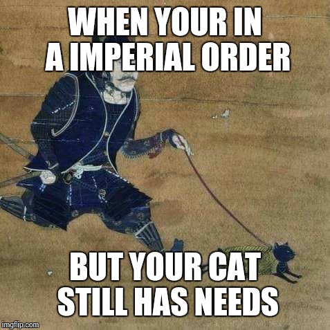 Art Week! A JBmemegeek and Sir_Unknown event! :) | WHEN YOUR IN A IMPERIAL ORDER; BUT YOUR CAT STILL HAS NEEDS | image tagged in jbmemegeek,sir_unknown,art week | made w/ Imgflip meme maker