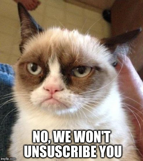 mean cat | NO, WE WON'T UNSUSCRIBE YOU | image tagged in mean cat | made w/ Imgflip meme maker
