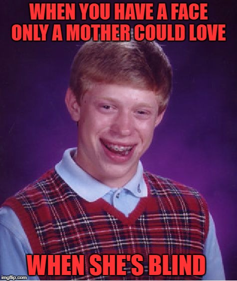 Bad Luck Brian | WHEN YOU HAVE A FACE ONLY A MOTHER COULD LOVE; WHEN SHE'S BLIND | image tagged in memes,bad luck brian | made w/ Imgflip meme maker