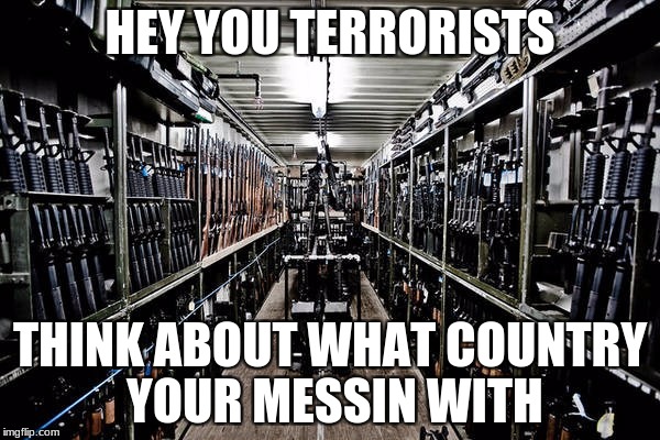 2nd Amendment was always my personal favorite | HEY YOU TERRORISTS; THINK ABOUT WHAT COUNTRY YOUR MESSIN WITH | image tagged in die terrorists,guns | made w/ Imgflip meme maker