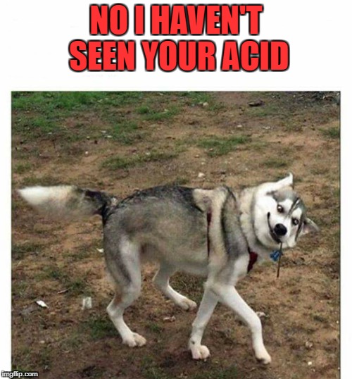 NO I HAVEN'T SEEN YOUR ACID | image tagged in acid | made w/ Imgflip meme maker