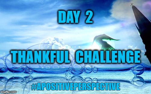 DAY  2; THANKFUL  CHALLENGE; #APOSITIVEPERSPECTIVE | image tagged in baptism dove church | made w/ Imgflip meme maker