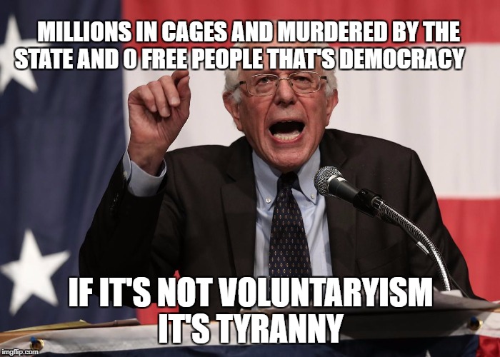 bernie point | MILLIONS IN CAGES AND MURDERED BY THE STATE AND 0 FREE PEOPLE THAT'S DEMOCRACY; IF IT'S NOT VOLUNTARYISM IT'S TYRANNY | image tagged in bernie point | made w/ Imgflip meme maker