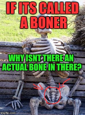Skipped depressing meme week on this one. | IF ITS CALLED A BONER; WHY ISNT THERE AN ACTUAL BONE IN THERE? | image tagged in memes,waiting skeleton | made w/ Imgflip meme maker