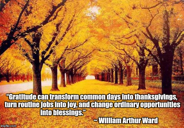 Autumn trees | “Gratitude can transform common days into thanksgivings, turn routine jobs into joy, and change ordinary opportunities into blessings.”


                                         

                                                       ~ William Arthur Ward | image tagged in autumn trees | made w/ Imgflip meme maker