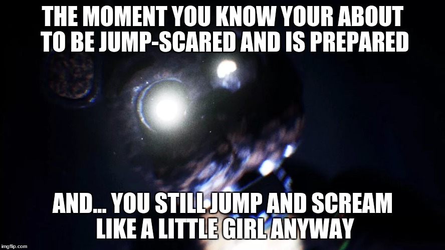 TJOC Reborn ( scares the hell out of me, go ahead watch it or better yet, play it) | THE MOMENT YOU KNOW YOUR ABOUT TO BE JUMP-SCARED AND IS PREPARED; AND... YOU STILL JUMP AND SCREAM LIKE A LITTLE GIRL ANYWAY | image tagged in tjoc,ignited freddy,jumpscare | made w/ Imgflip meme maker