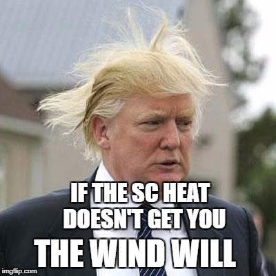 Donald Trump | IF THE SC HEAT 
DOESN'T GET YOU; THE WIND WILL | image tagged in donald trump | made w/ Imgflip meme maker