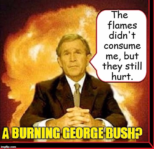 George Bush: Stand-Up Comic | The  flames didn't consume me, but they still hurt. | image tagged in vince vance,stand up,burning bush,comics,george w bush,43 | made w/ Imgflip meme maker