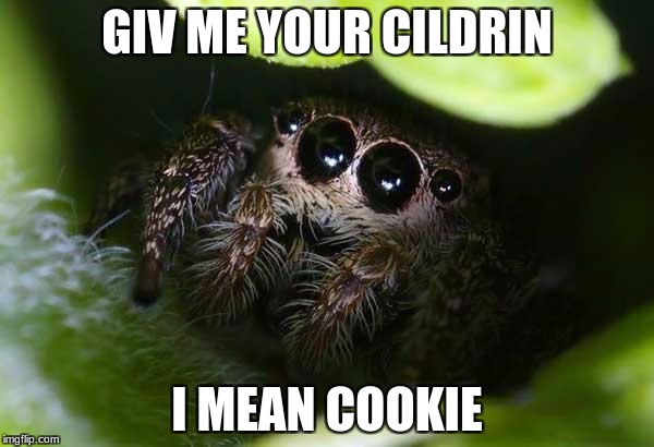 missunder stoood spider | GIV ME YOUR CILDRIN; I MEAN COOKIE | image tagged in missunder stoood spider | made w/ Imgflip meme maker