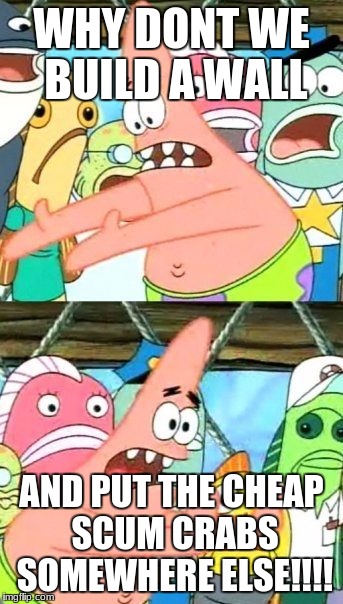 Put It Somewhere Else Patrick | WHY DONT WE BUILD A WALL; AND PUT THE CHEAP SCUM CRABS SOMEWHERE ELSE!!!! | image tagged in memes,put it somewhere else patrick | made w/ Imgflip meme maker