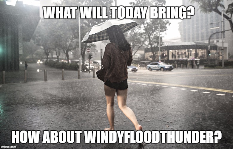 Weather | WHAT WILL TODAY BRING? HOW ABOUT WINDYFLOODTHUNDER? | image tagged in weather | made w/ Imgflip meme maker