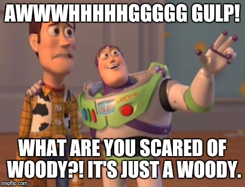 X, X Everywhere Meme | AWWWHHHHHGGGGG GULP! WHAT ARE YOU SCARED OF WOODY?! IT'S JUST A WOODY. | image tagged in memes,x x everywhere | made w/ Imgflip meme maker