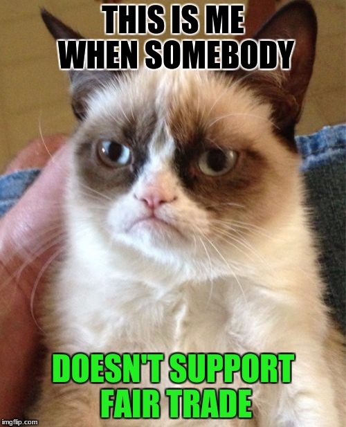 Grumpy Cat Meme | THIS IS ME WHEN SOMEBODY; DOESN'T SUPPORT FAIR TRADE | image tagged in memes,grumpy cat | made w/ Imgflip meme maker