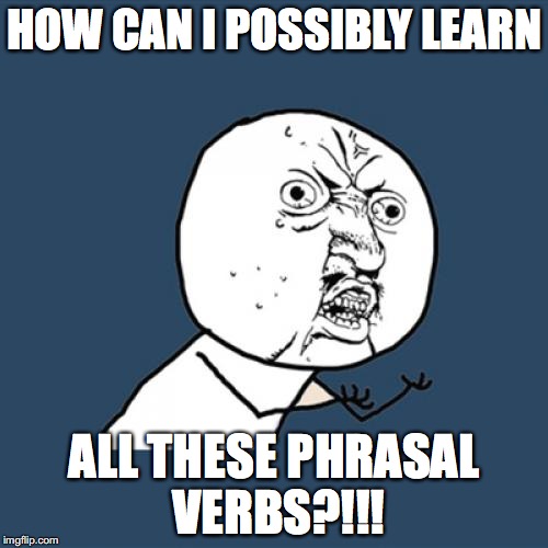 Y U No | HOW CAN I POSSIBLY LEARN; ALL THESE PHRASAL VERBS?!!! | image tagged in memes,y u no | made w/ Imgflip meme maker