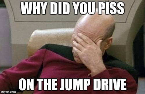 Captain Picard Facepalm Meme | WHY DID YOU PISS; ON THE JUMP DRIVE | image tagged in memes,captain picard facepalm | made w/ Imgflip meme maker