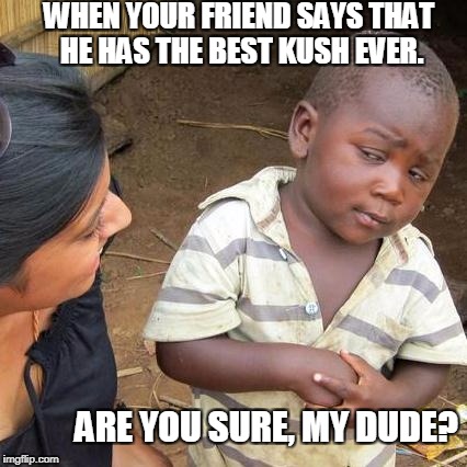 Third World Skeptical Kid Meme | WHEN YOUR FRIEND SAYS THAT HE HAS THE BEST KUSH EVER. ARE YOU SURE, MY DUDE? | image tagged in memes,third world skeptical kid | made w/ Imgflip meme maker