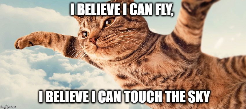Flying Cat | I BELIEVE I CAN FLY, I BELIEVE I CAN TOUCH THE SKY | image tagged in flying cat | made w/ Imgflip meme maker