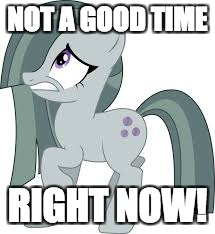 Marble Pie scared | NOT A GOOD TIME RIGHT NOW! | image tagged in marble pie scared | made w/ Imgflip meme maker