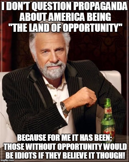 The Most Interesting Man In The World Meme | I DON'T QUESTION PROPAGANDA ABOUT AMERICA BEING "THE LAND OF OPPORTUNITY"; BECAUSE FOR ME IT HAS BEEN; THOSE WITHOUT OPPORTUNITY WOULD BE IDIOTS IF THEY BELIEVE IT THOUGH! | image tagged in memes,the most interesting man in the world | made w/ Imgflip meme maker